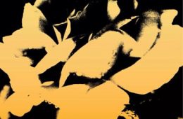 Let's Talk Daggers - A Beautiful Life Album Cover