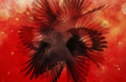 Black Map - In Droves Album review