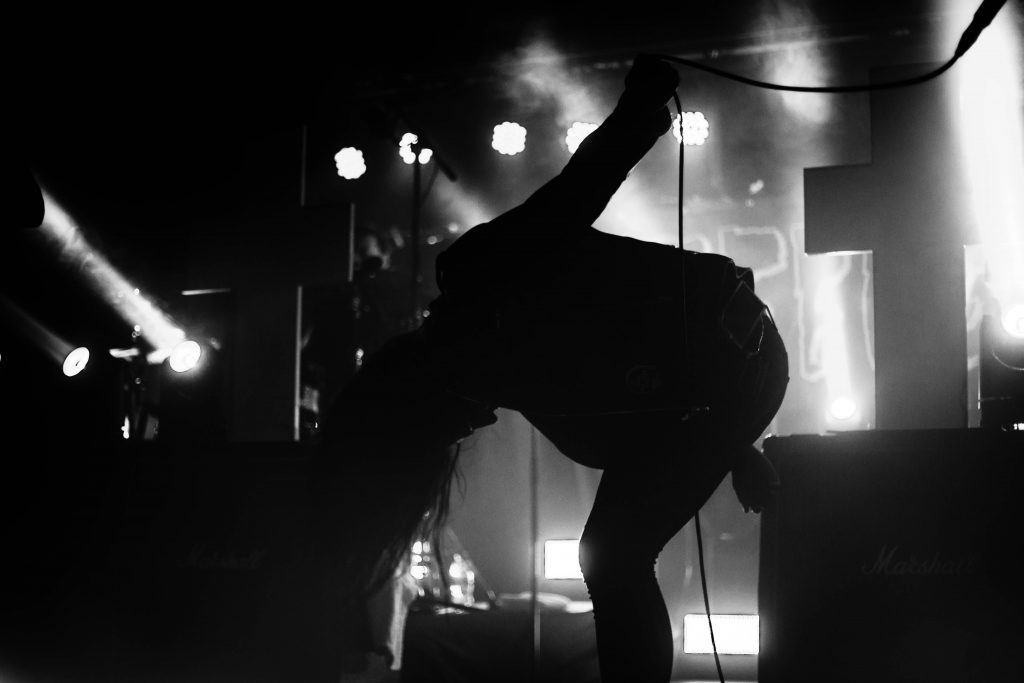 Creeper Newcastle 2017