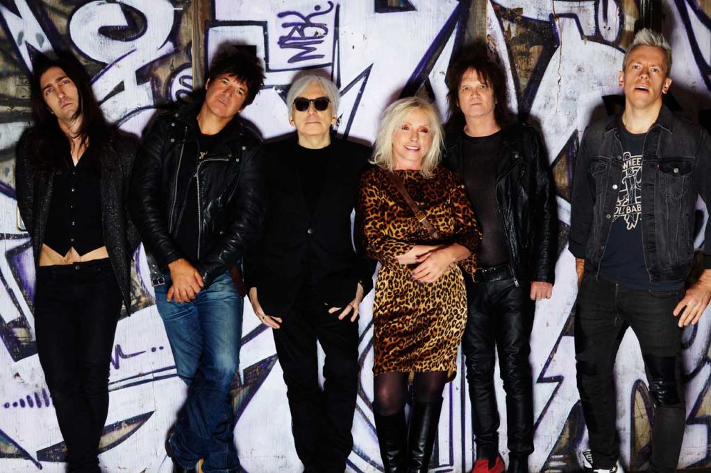 Blondie – Pollinator